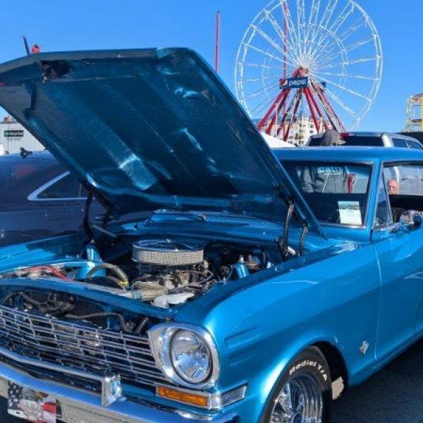 Endless Summer Cruisin' 2