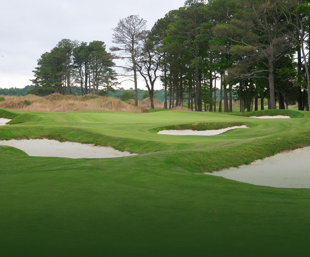 Glen Riddle Golf Courses